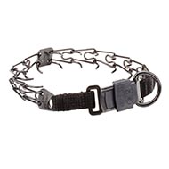 Dog Collar with Buckle