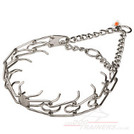 dog prong collar