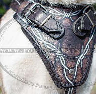 Original Hand-Painted Dog Harness for Husky