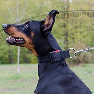 K9 Dogs Collar for Doberman | Nylon Dog Collar for Doberman UK