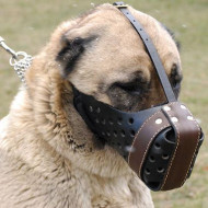 K9 Muzzle for Large Dogs | Caucasian Shepherd Training
Muzzle