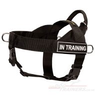 non pull dog harness