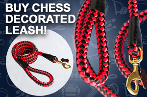 Nylon Dog Leash