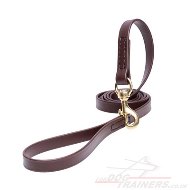 Advanced Biothane Brown Dog Lead with Handle