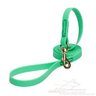 Green Dog Leash Biothane