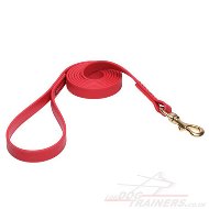 Yellow Biothane Dog Lead