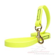 Modern Neon Yellow Dog Leash Biothane