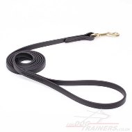 Nylon Dog Lead UK