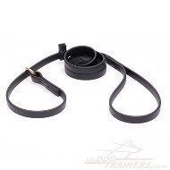 Black Dog Leash Biothane