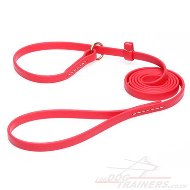 Red Dog Collar and Leash 2 in 1