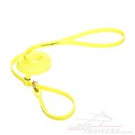 Neon Yellow Biothane Dog Collar and Lead Combo Super Strong & Comfy!