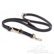 Multifunctional Biothane Dog Lead