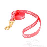 Super Strong Biothane Red Dog Leash 6 ft with Handle and Brass Link
