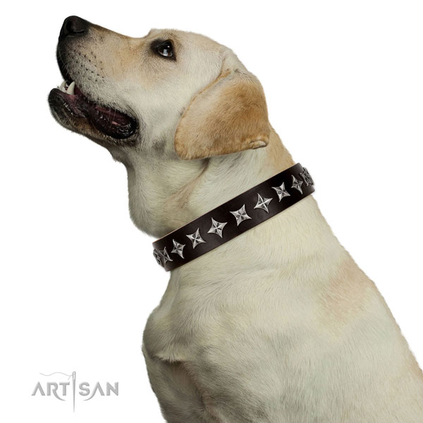Labrador Retriever Collars for Sale UK
