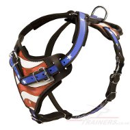 Medium to Large Dog Harness for Walk & Training American Pride