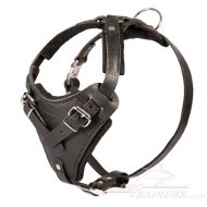 Leather Dog Harness for K9 Dogs | Padded Dog Harness Best
Choice