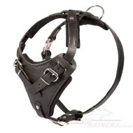 Leather Dog Harness for K9 Dogs | Padded Dog Harness Best
Choice