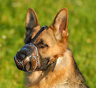 Exclusive Painted Leather Basket Dog Muzzle for German Shepherd