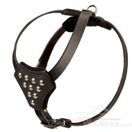 Small Dog Harness UK