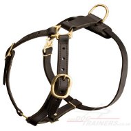 Large Luxury Dog Harness UK Best Quality