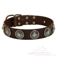 luxury leather dog collars