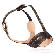 Leather Muzzle for Dogs to Stop Barking and for Daily Use