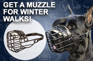 Dog Muzzle