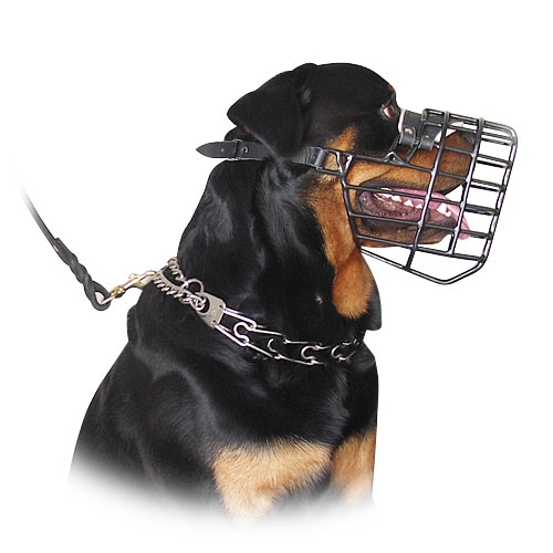 best dog muzzle for large dogs