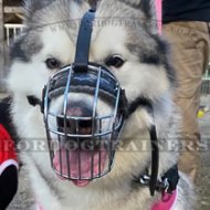 Padded Husky Muzzle Basket for Dogs Safety and Comfort Best Seller