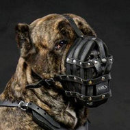 Leather Dog Muzzle Cane Corso | Best Dog Muzzle For Cane Corso