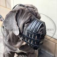 The Best Neapolitan Mastiff Muzzle Size UK XL Leather Basket