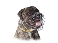Bullmastiff Muzzle Best Design of Wire Basket Dog Muzzles UK