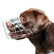 Labrador Muzzle Wire Basket | Best Dog Muzzle UK for Lab