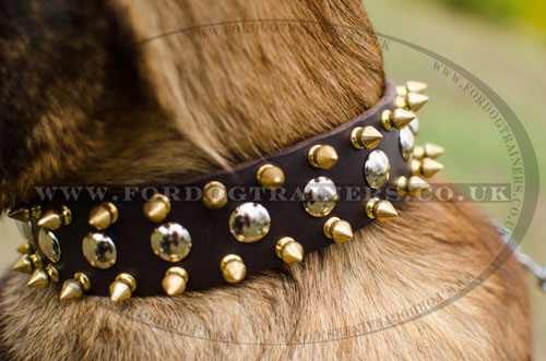 spiked dog collar for Malinois online