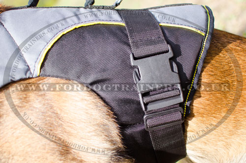 buy soft vest dog harness for Belgian Malinois online