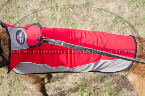 dog coat for Malinois