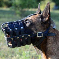 Leather Dog Muzzle for Belgian Shepherd Dog Leather Dog Muzzle for Belgian Shepherd Dog