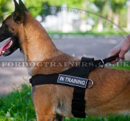 Dog Harness for Training, Weight Pulling