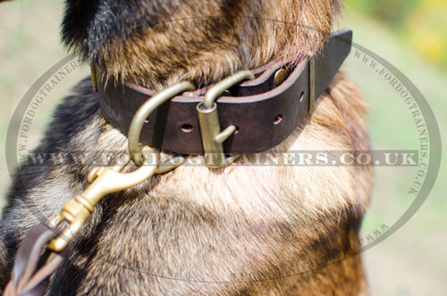 buy handmade dog collars for Malinois