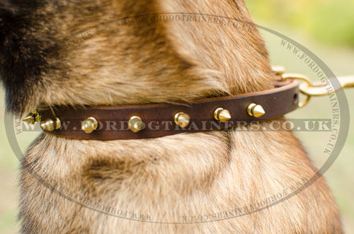 leather dog collars for Malinois