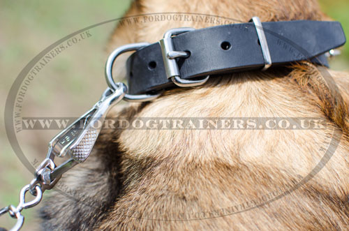 gorgeous leather dog collar for Belgian Malinois