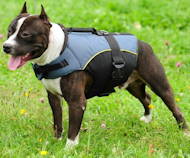 Pitbull Outdoor Nylon Dog Harness UK Pitbull Outdoor Nylon Dog Harness UK