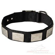 Studded Nylon Dog Collar With Buckle and Vintage Plates