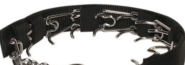 Nylon Cover for Steel Dog Collar