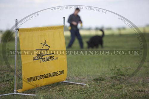 Owner's Personality is a Key Factor for Dog Education