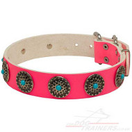 pink dog collar