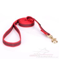 Fascinating Nylon Dog Training Lead For Everyday Activities 0.8" Width