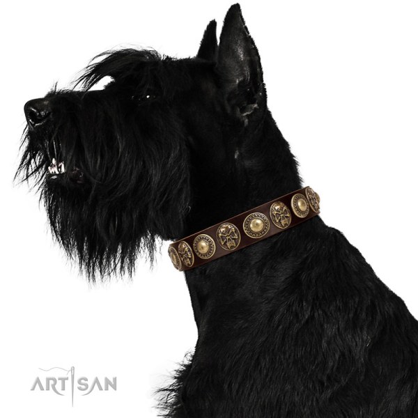 natural leather dog collar Artisan