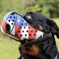 Dog Muzzle for Rottweiler Agtation Training, Size 1