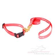 Red Dog Collar and Leash Set in Biothane
